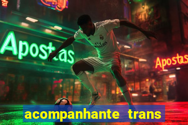 acompanhante trans baixada fluminense